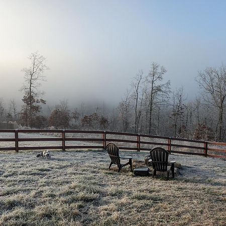 Great Little Guest Suite With Private Entry & Deck! Pet Friendly & 30 Mins To Nashville! Ashland City Ngoại thất bức ảnh