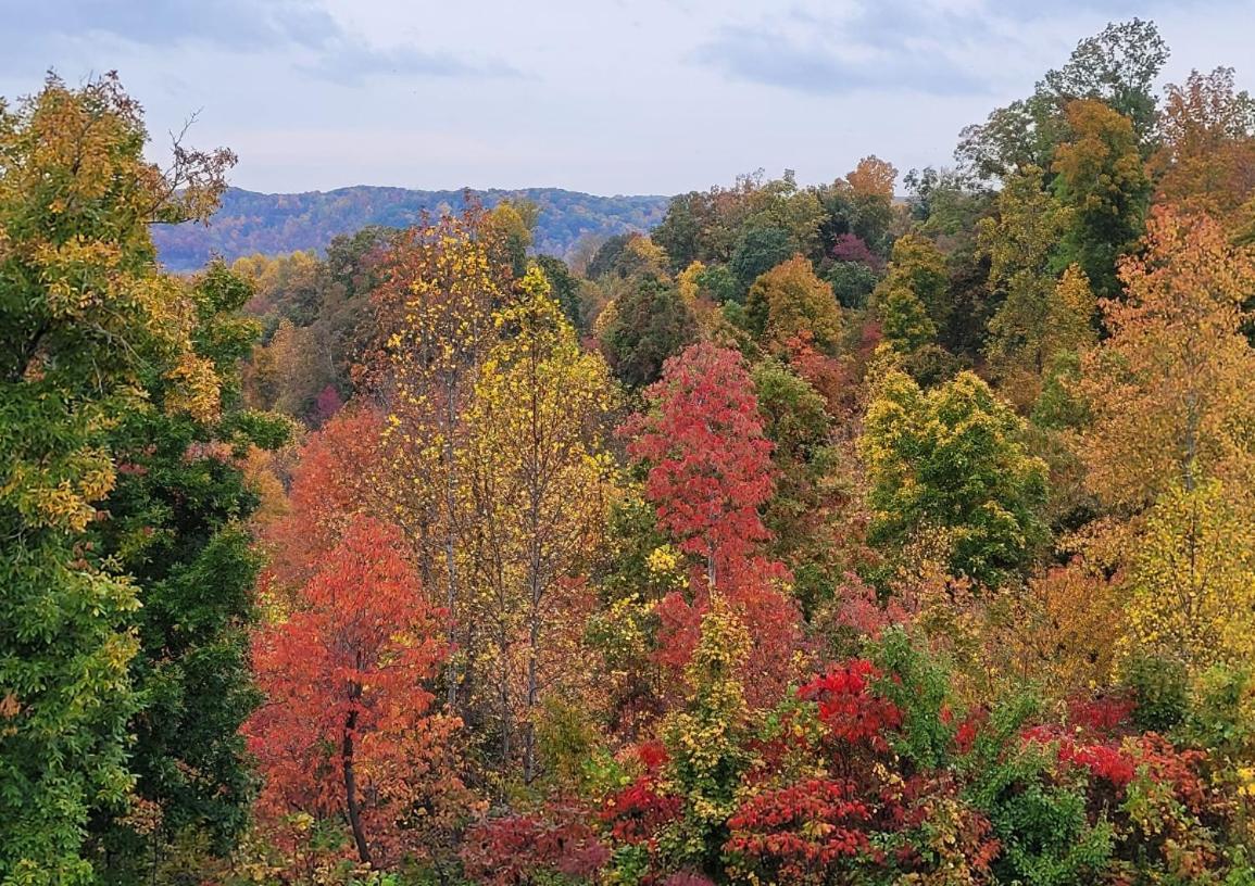 Great Little Guest Suite With Private Entry & Deck! Pet Friendly & 30 Mins To Nashville! Ashland City Ngoại thất bức ảnh