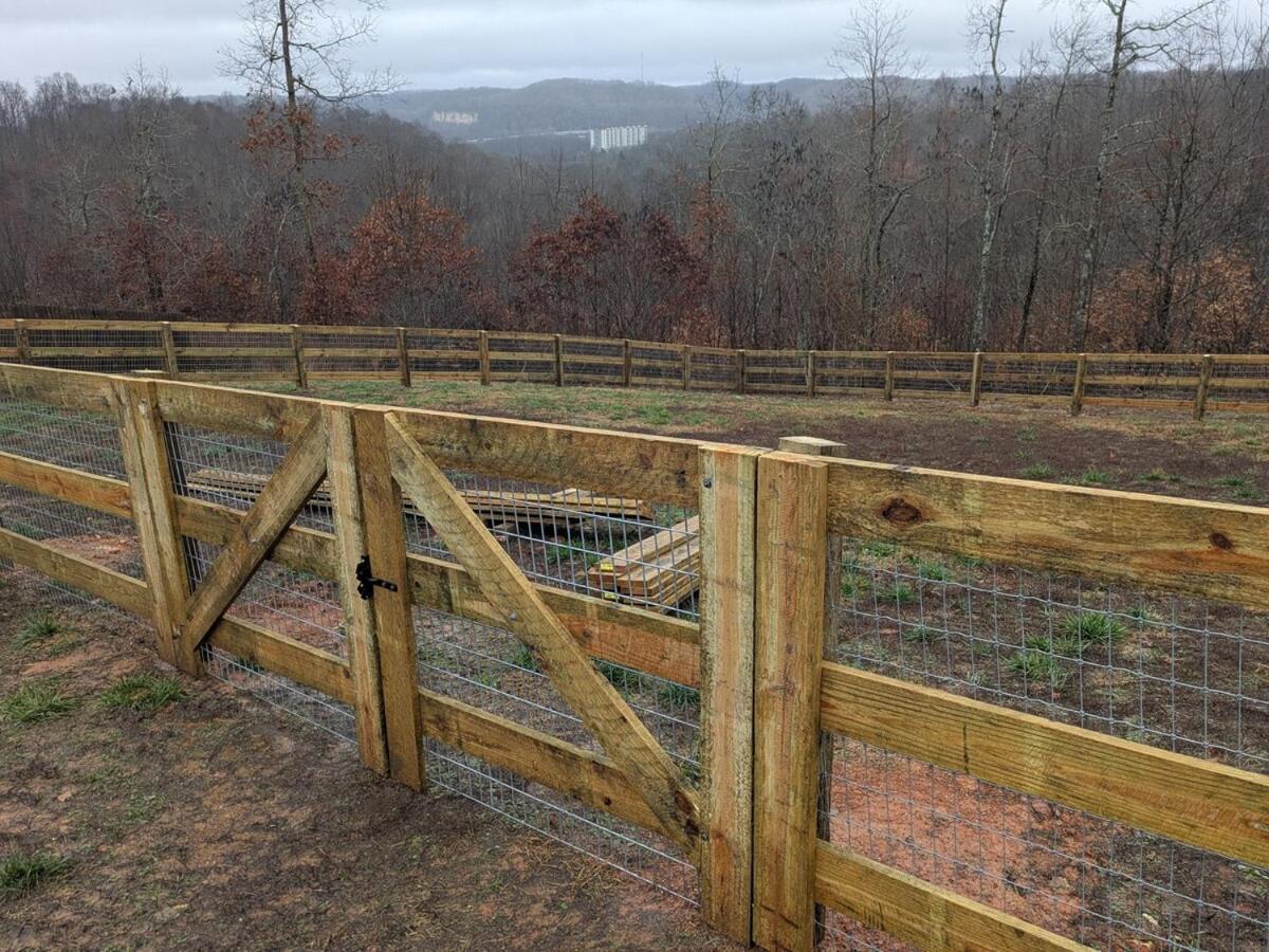 Great Little Guest Suite With Private Entry & Deck! Pet Friendly & 30 Mins To Nashville! Ashland City Ngoại thất bức ảnh